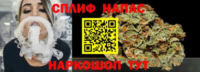 прущие грибы Славянск-на-Кубани