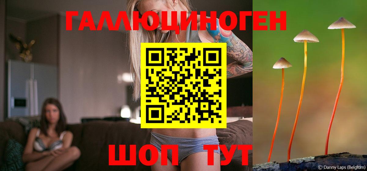 Псилоцибиновые грибы MAGIC MUSHROOMS  Галлюциногенные грибы ЛСД  где можно купить   Вход с VPN  Новоалександровск 