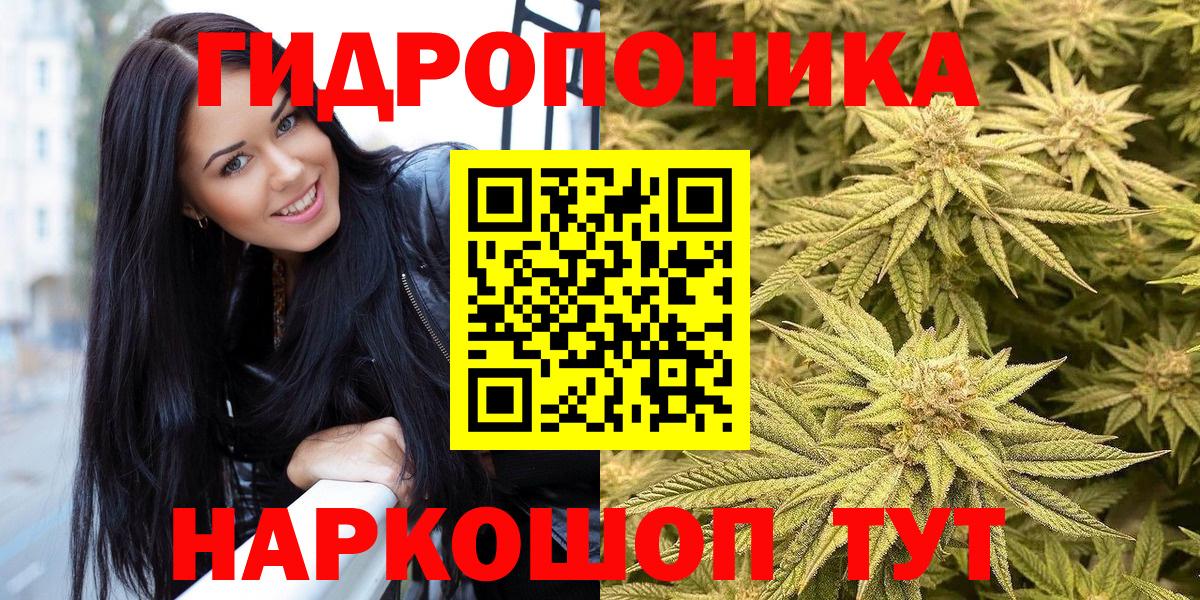 Шишки марихуана White Widow  Бошки марихуана LSD WEED  МАРИХУАНА марихуана  Канабис VHQ  Вход с VPN  Новоалександровск 